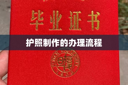 梅里斯护照制作的办理流程