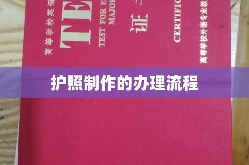 梅里斯护照制作的办理流程