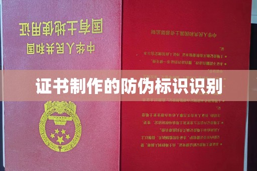 梅里斯证书制作的防伪标识识别