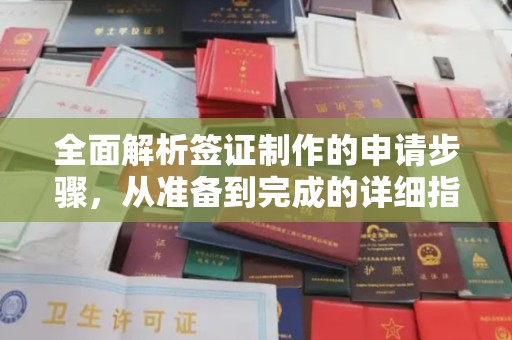 梅里斯全面解析签证制作的申请步骤，从准备到完成的详细指南