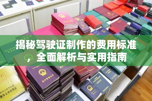 梅里斯揭秘驾驶证制作的费用标准，全面解析与实用指南