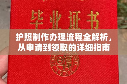 梅里斯护照制作办理流程全解析，从申请到领取的详细指南