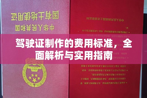 梅里斯驾驶证制作的费用标准，全面解析与实用指南