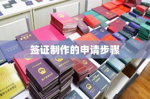 梅里斯签证制作的申请步骤