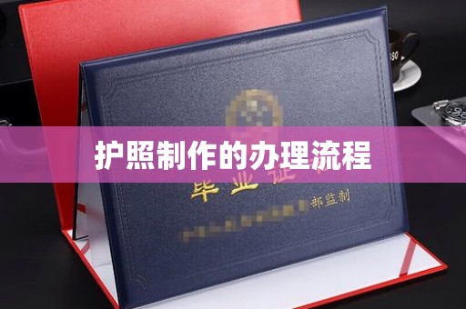 梅里斯护照制作的办理流程