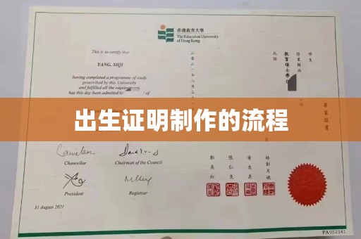梅里斯出生证明制作的流程