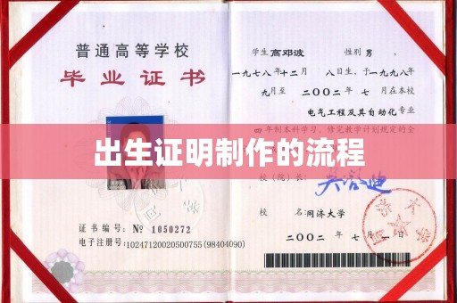 梅里斯出生证明制作的流程