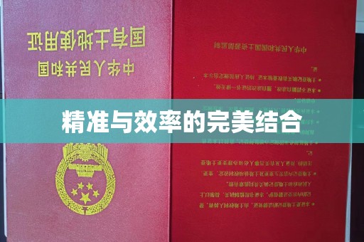 梅里斯精准与效率的完美结合